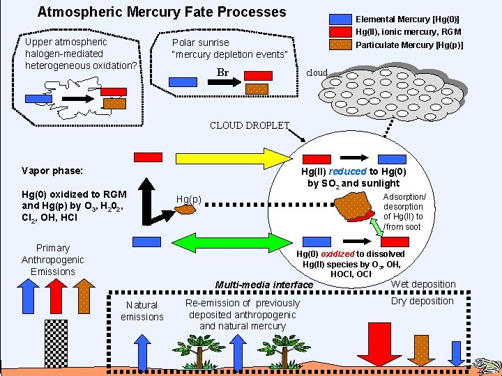 Atmospheric Mercury Fate Processes Upper atmospheric halogen-mediated heterogeneous oxidation? Elemental Mercury [Hg(0)] Hg(II), ionic