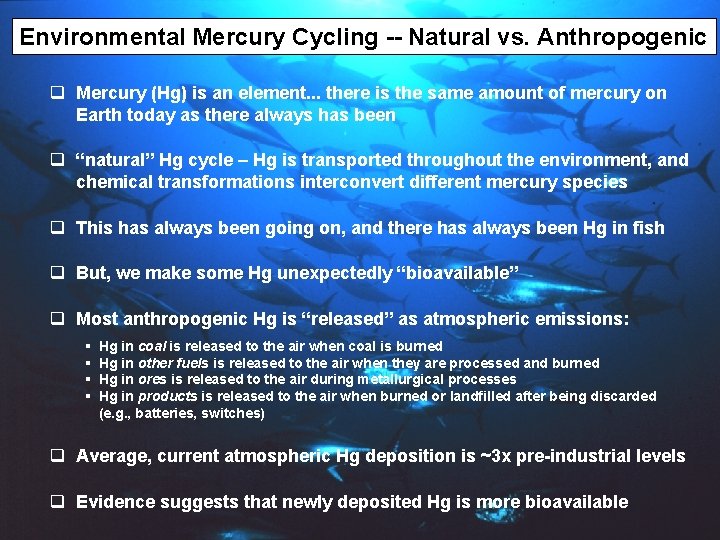 Environmental Mercury Cycling -- Natural vs. Anthropogenic q Mercury (Hg) is an element. .