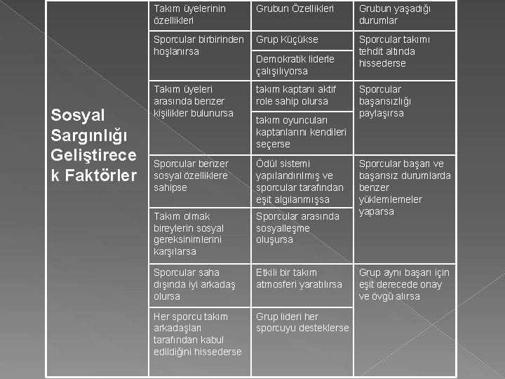 Sosyal Sargınlığı Geliştirece k Faktörler Takım üyelerinin özellikleri Grubun Özellikleri Grubun yaşadığı durumlar Sporcular