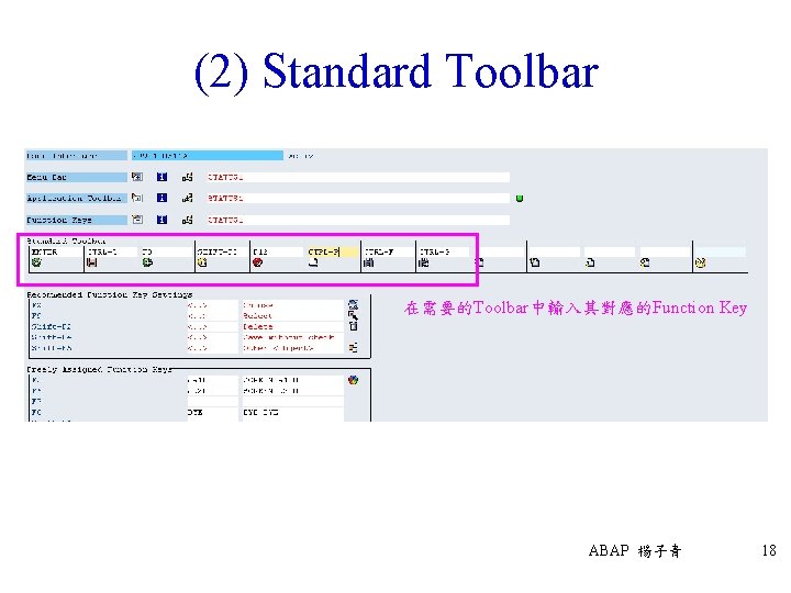(2) Standard Toolbar 在需要的Toolbar中輸入其對應的Function Key ABAP 楊子青 18 