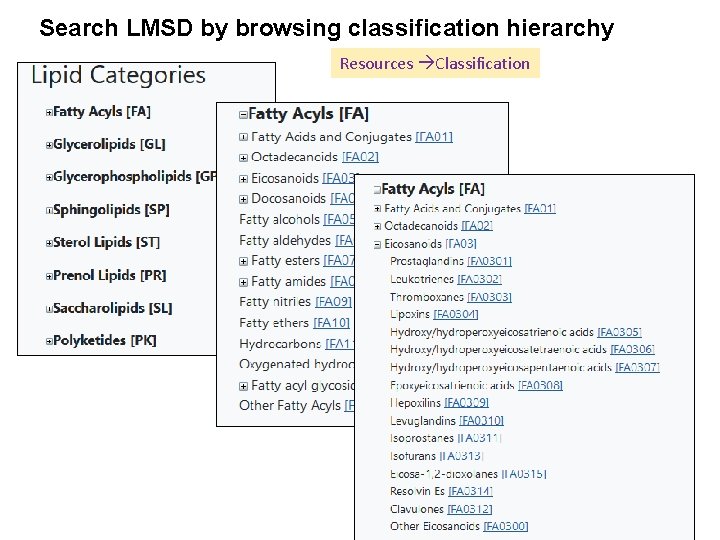 Search LMSD by browsing classification hierarchy Resources Classification 