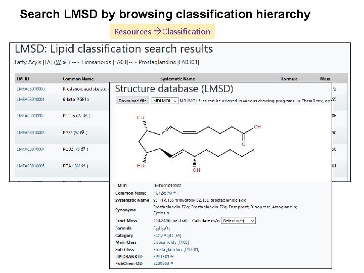 Search LMSD by browsing classification hierarchy Resources Classification 