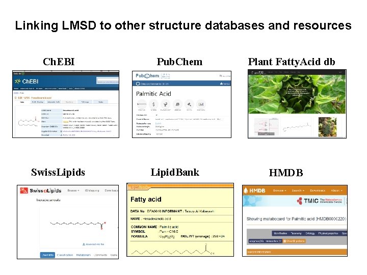 Linking LMSD to other structure databases and resources Ch. EBI Swiss. Lipids Pub. Chem