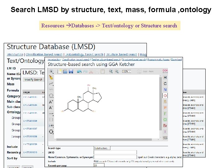 Search LMSD by structure, text, mass, formula , ontology Resources Databases -> Text/ontology or