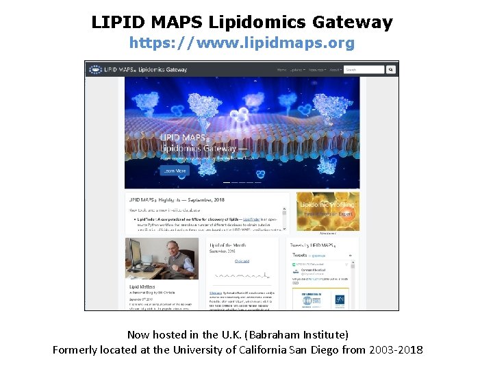 LIPID MAPS Lipidomics Gateway https: //www. lipidmaps. org Now hosted in the U. K.