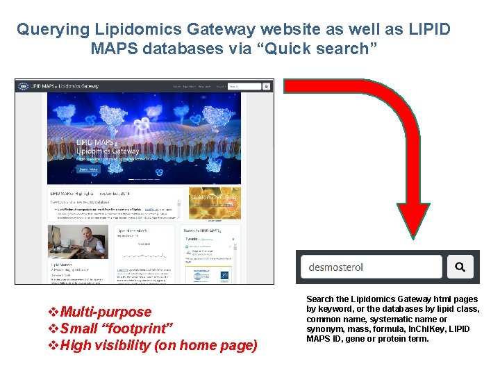 Querying Lipidomics Gateway website as well as LIPID MAPS databases via “Quick search” v.