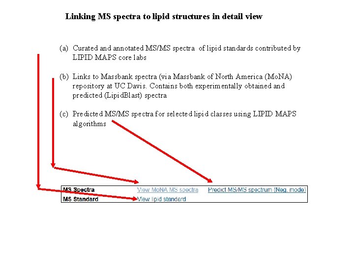 Linking MS spectra to lipid structures in detail view (a) Curated annotated MS/MS spectra