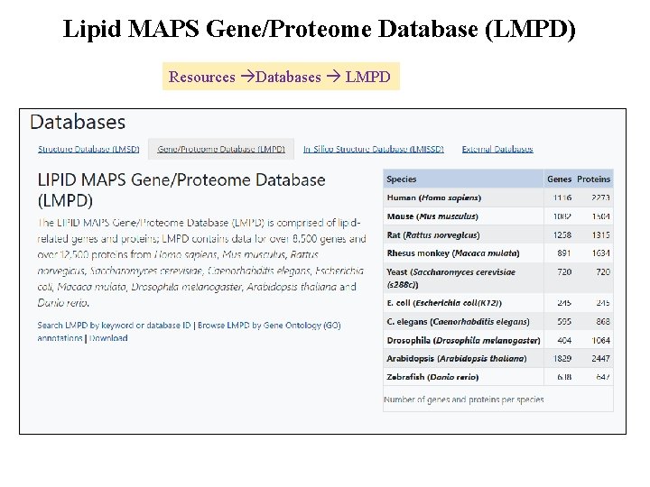 Lipid MAPS Gene/Proteome Database (LMPD) Resources Databases LMPD 
