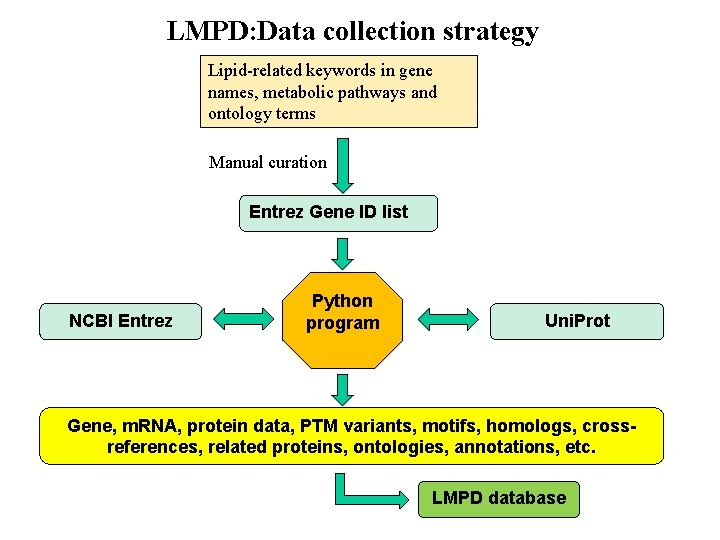LMPD: Data collection strategy Lipid-related keywords in gene names, metabolic pathways and ontology terms