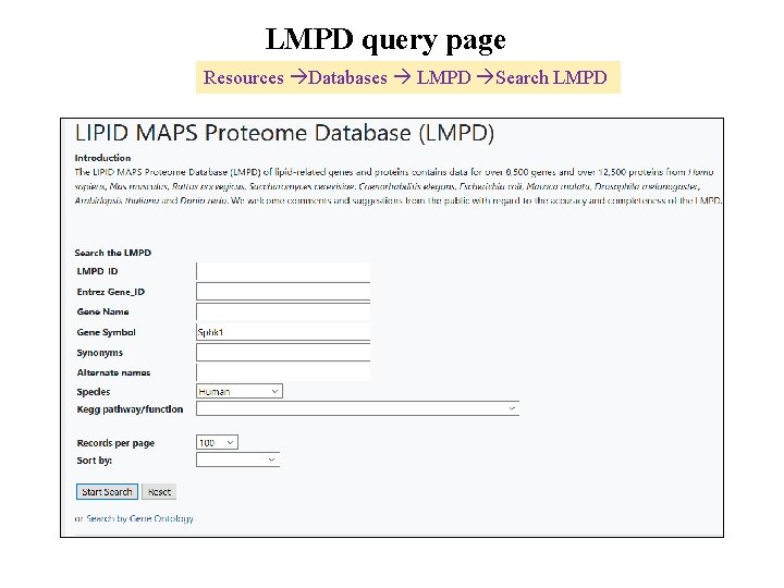 LMPD query page Resources Databases LMPD Search LMPD 
