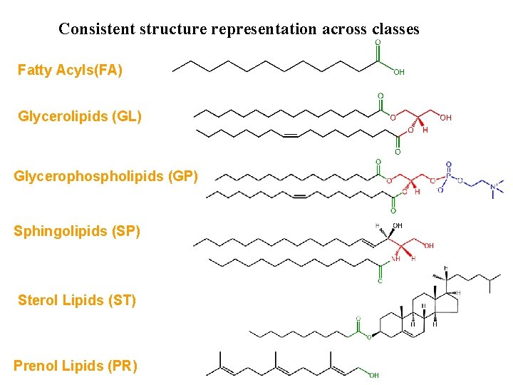 LIPID MAPS: Recommendations for drawing structures Consistent structure representation across classes Fatty Acyls(FA) Glycerolipids