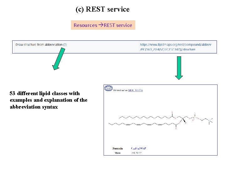 (c) REST service Resources REST service 53 different lipid classes with examples and explanation