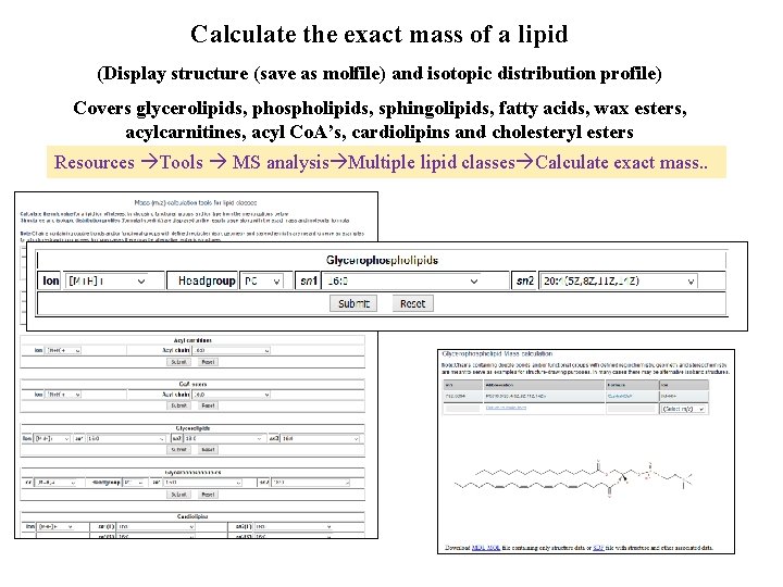 Calculate the exact mass of a lipid (Display structure (save as molfile) and isotopic