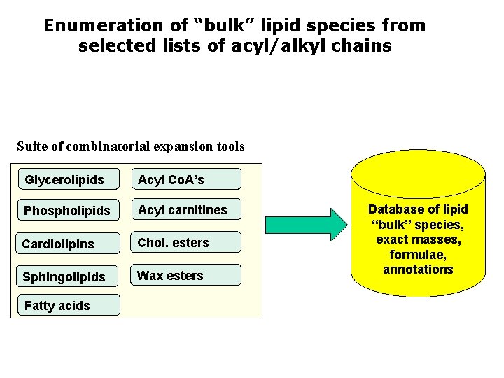 Enumeration of “bulk” lipid species from selected lists of acyl/alkyl chains Suite of combinatorial