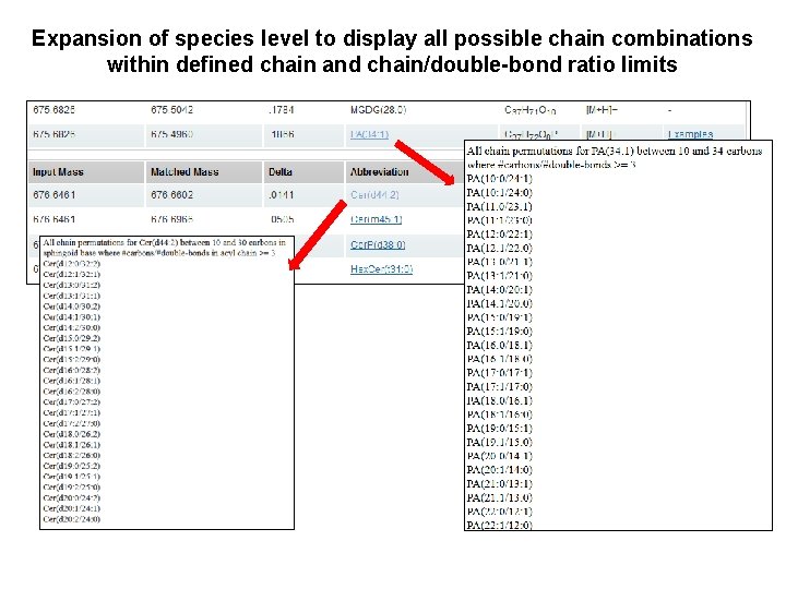 Expansion of species level to display all possible chain combinations within defined chain and