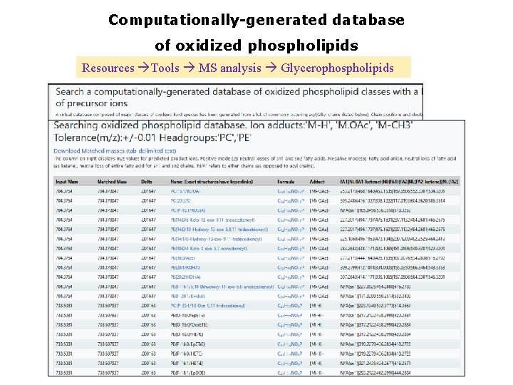 Computationally-generated database of oxidized phospholipids Resources Tools MS analysis Glycerophospholipids 