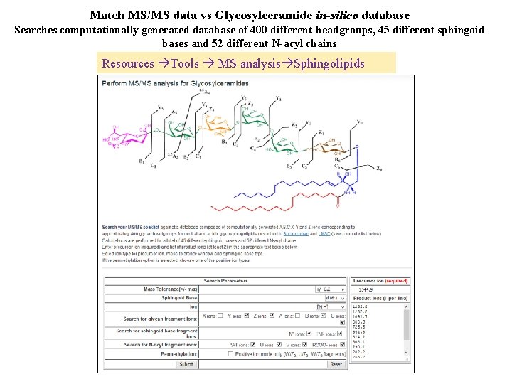 Match MS/MS data vs Glycosylceramide in-silico database Searches computationally generated database of 400 different
