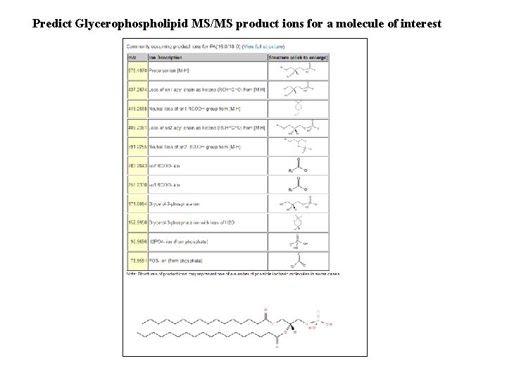 Predict Glycerophospholipid MS/MS product ions for a molecule of interest 