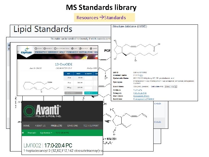MS Standards library Resources Standards 