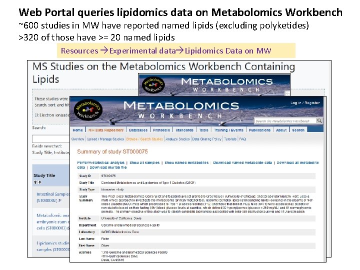 Web Portal queries lipidomics data on Metabolomics Workbench ~600 studies in MW have reported