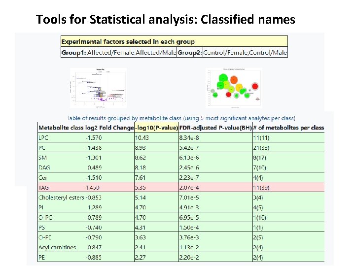 Tools for Statistical analysis: Classified names 