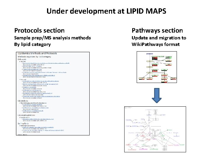 Under development at LIPID MAPS Protocols section Sample prep/MS analysis methods By lipid category