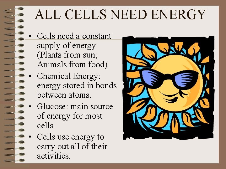 ALL CELLS NEED ENERGY • Cells need a constant supply of energy (Plants from