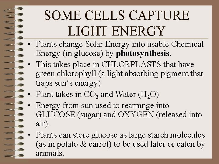 SOME CELLS CAPTURE LIGHT ENERGY • Plants change Solar Energy into usable Chemical Energy