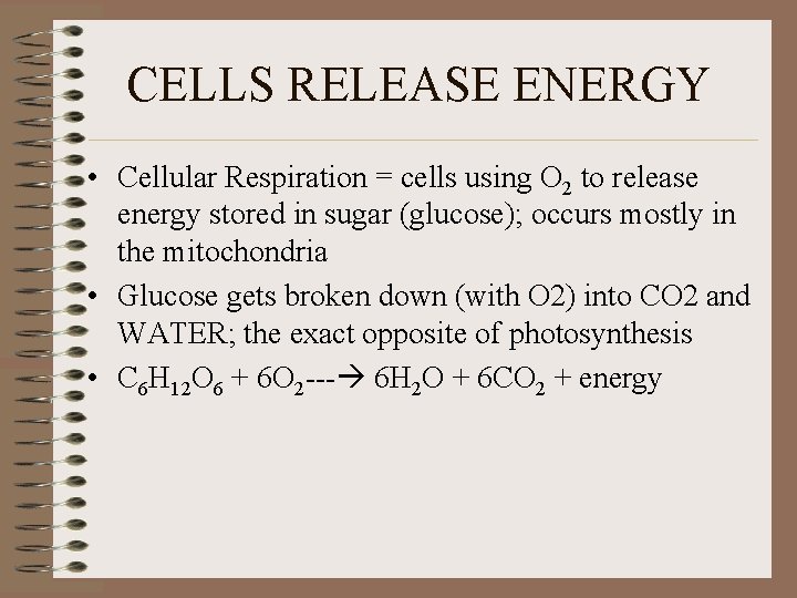 CELLS RELEASE ENERGY • Cellular Respiration = cells using O 2 to release energy