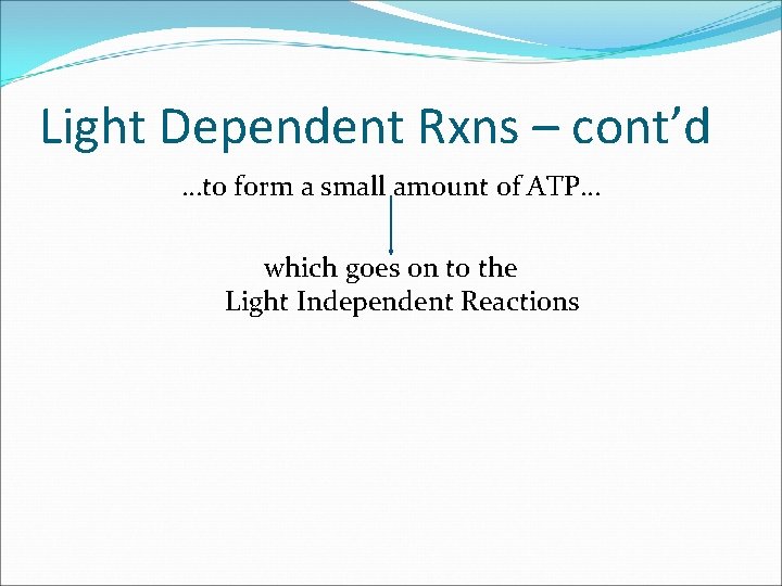 Light Dependent Rxns – cont’d …to form a small amount of ATP… which goes Light Dependent Rxns – cont’d …to form a small amount of ATP… which goes