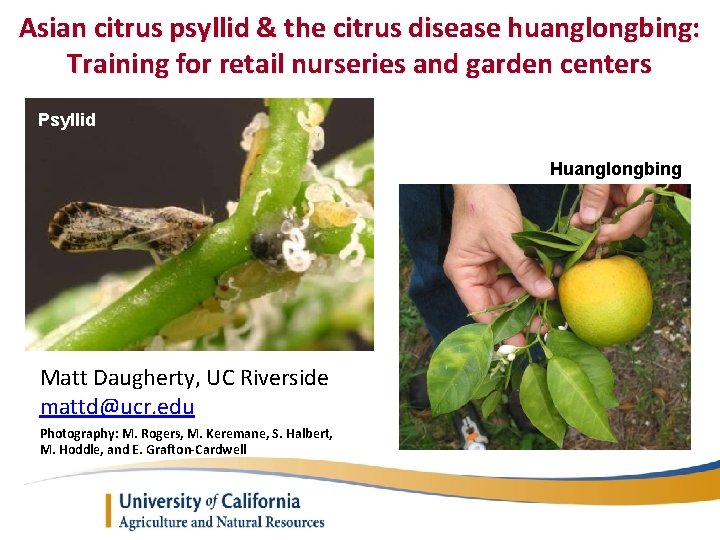 Asian citrus psyllid & the citrus disease huanglongbing: Training for retail nurseries and garden