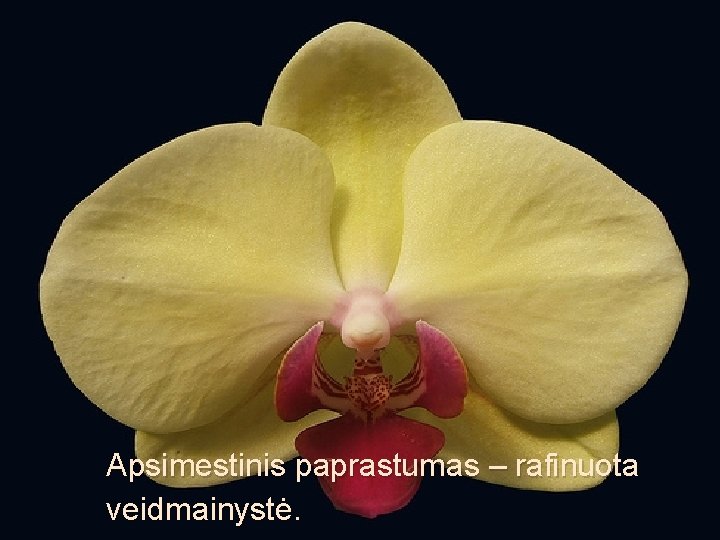 Apsimestinis paprastumas – rafinuota veidmainystė. 