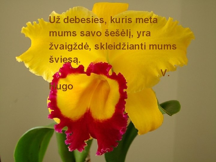 Už debesies, kuris meta mums savo šešėlį, yra žvaigždė, skleidžianti mums šviesą. V. Hugo