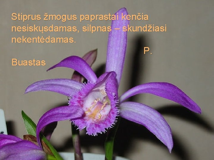 Stiprus žmogus paprastai kenčia nesiskųsdamas, silpnas – skundžiasi nekentėdamas. P. Buastas 