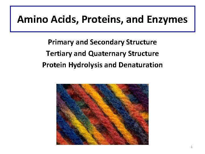 Amino Acids, Proteins, and Enzymes Primary and Secondary Structure Tertiary and Quaternary Structure Protein