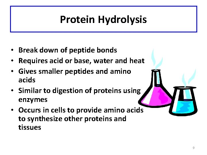 Protein Hydrolysis • Break down of peptide bonds • Requires acid or base, water