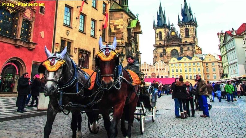 Praag - Paardentram 