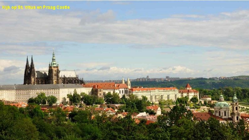 Kijk op St. Vitus en Praag Castle Rozen tuin - Praag 