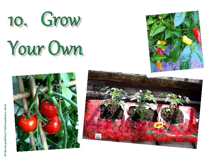 ©Flickr/darquati/Ebury Publishing/Marlene Manto 10. Grow Your Own 