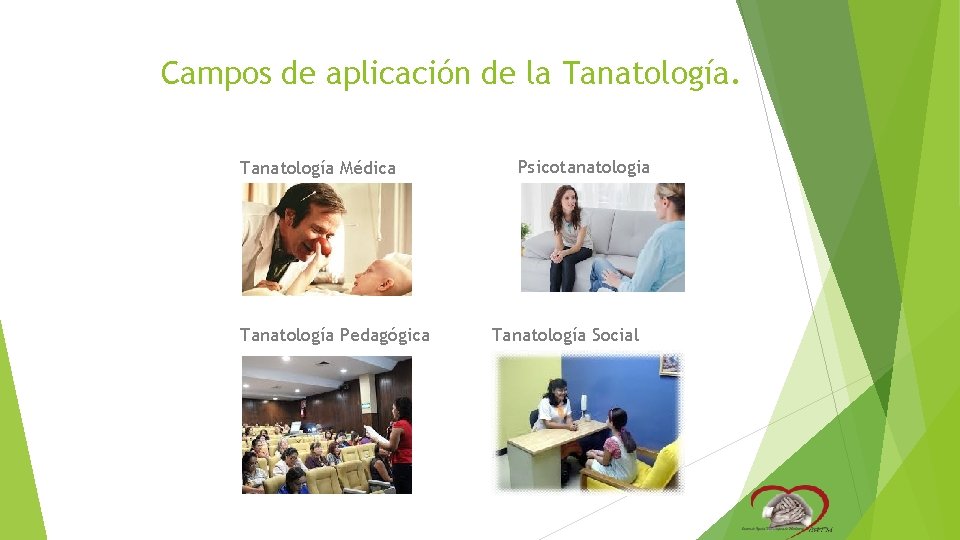 Campos de aplicación de la Tanatología Médica Tanatología Pedagógica Psicotanatologia Tanatología Social Campos de aplicación de la Tanatología Médica Tanatología Pedagógica Psicotanatologia Tanatología Social