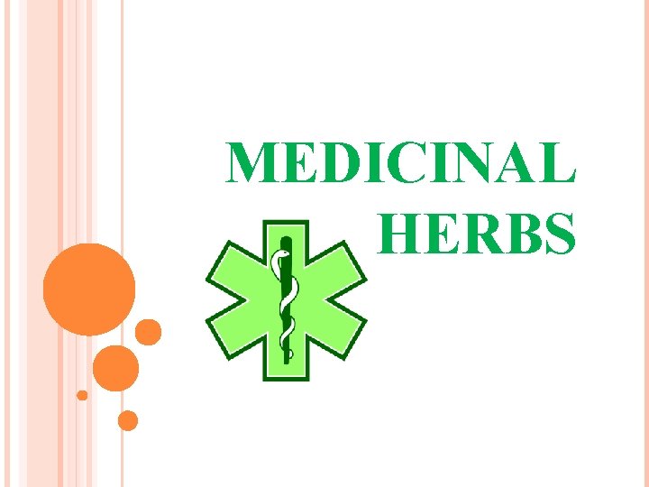 MEDICINAL HERBS 