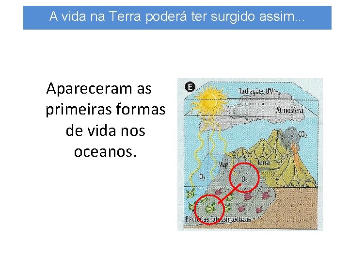A vida na Terra poderá ter surgido assim. . . Apareceram as primeiras formas