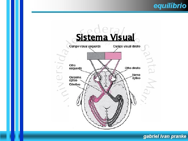 equilíbrio Sistema Visual gabriel ivan pranke 