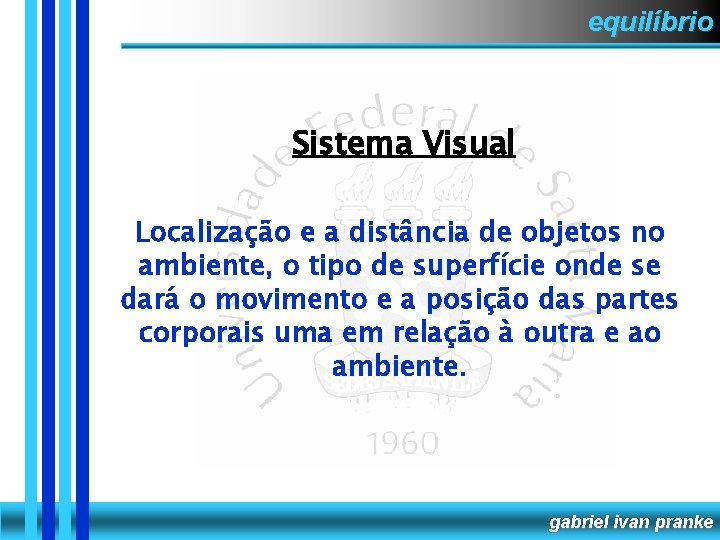 equilíbrio Sistema Visual Localização e a distância de objetos no ambiente, o tipo de