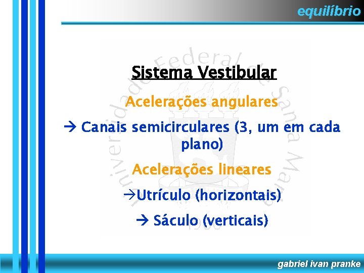 equilíbrio Sistema Vestibular Acelerações angulares Canais semicirculares (3, um em cada plano) Acelerações lineares