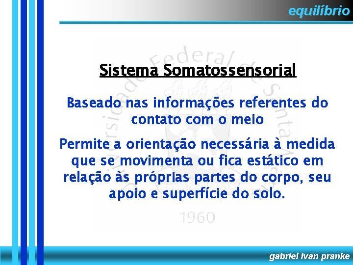 equilíbrio Sistema Somatossensorial Baseado nas informações referentes do contato com o meio Permite a