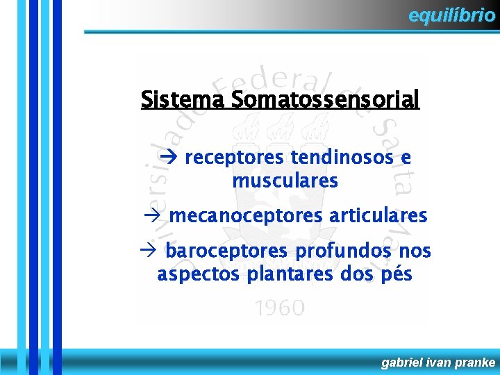 equilíbrio Sistema Somatossensorial receptores tendinosos e musculares mecanoceptores articulares baroceptores profundos nos aspectos plantares