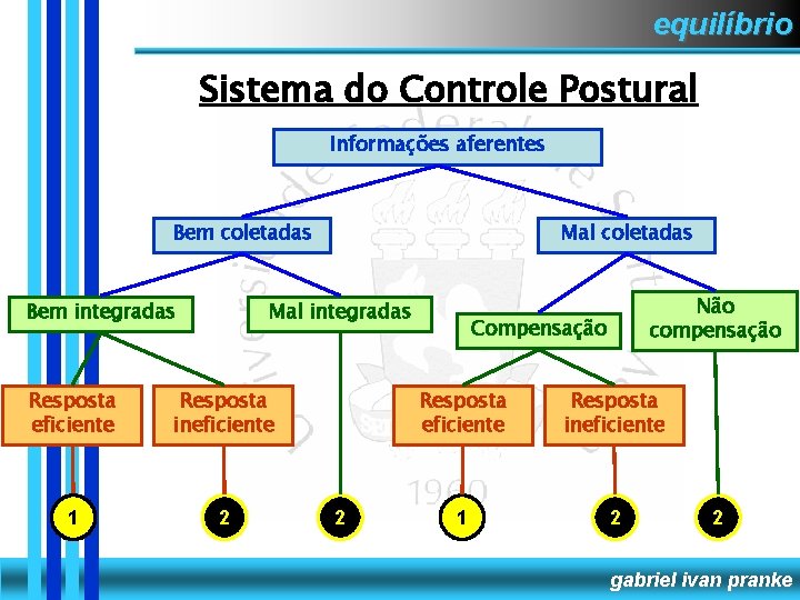 equilíbrio Sistema do Controle Postural Informações aferentes Bem coletadas Bem integradas Mal coletadas Mal