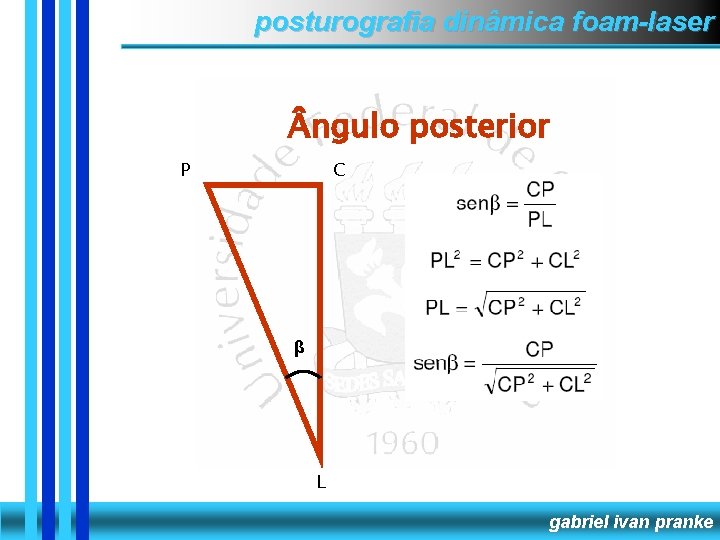 posturografia dinâmica foam-laser ngulo posterior P C β L gabriel ivan pranke 