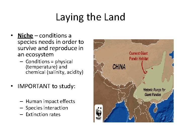 Laying the Land • Niche – conditions a species needs in order to survive